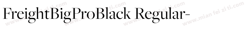 FreightBigProBlack Regular字体转换
